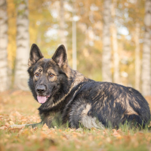 Hd-190857-ascw190857