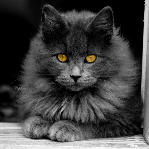 Hd-181656-ascw181656