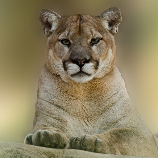 Hd-131978-ascw131978