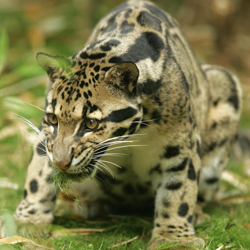 Hd-172473-ascw172473