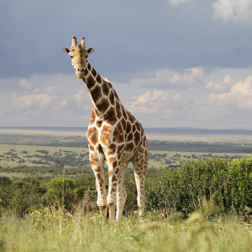 Hd-159913-ascw159913