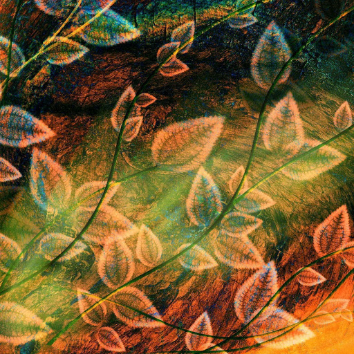 Hd-138005-ascw138005