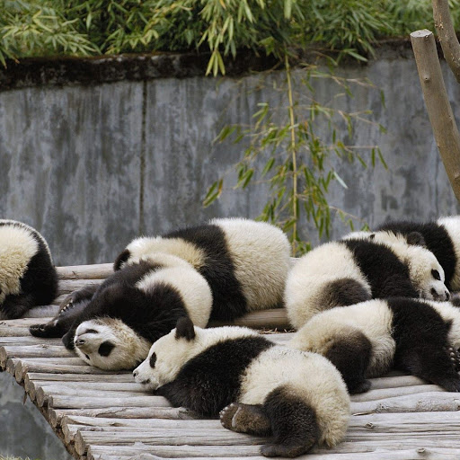 Hd-142409-ascw142409