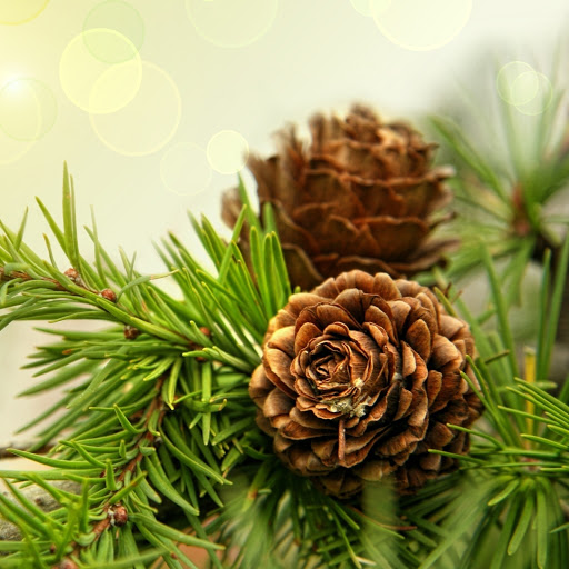 Hd-144330-ascw144330