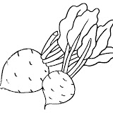 verduras-02.jpg