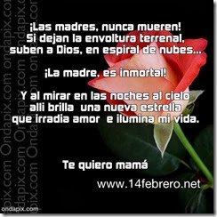 madres fallecidad (39) madres fallecidad (39)