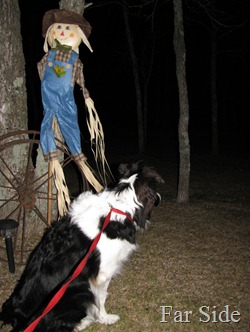 Chance and the Scarecrow
