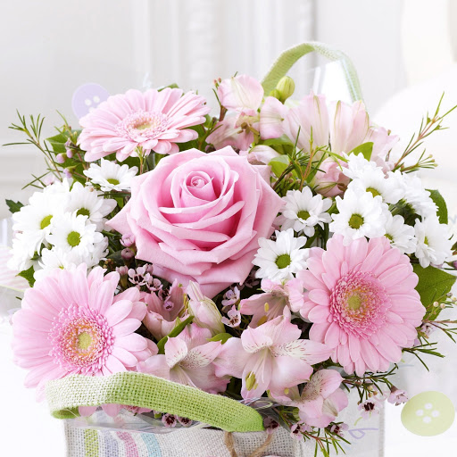 Hd-175135-ascw175135