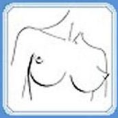 Форма женской груди и характер