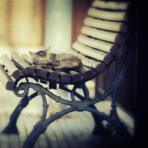 Hd-158992-ascw158992