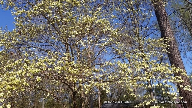 [20150408_1032467.jpg]