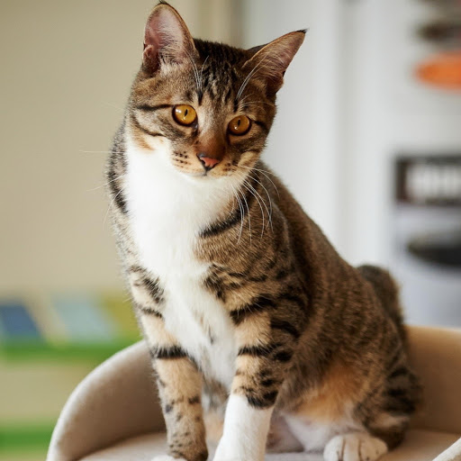 Hd-170882-ascw170882