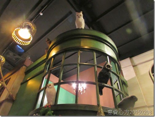 IMG_0511 IMG_0511