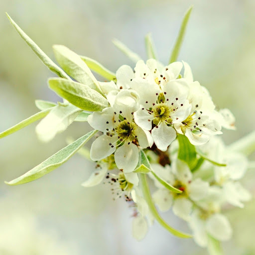 Hd-164405-ascw164405