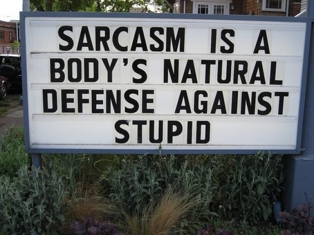 Sarcasm_Is_A_Body%2527s_Natural_Defense_Against_Stupid.jpg