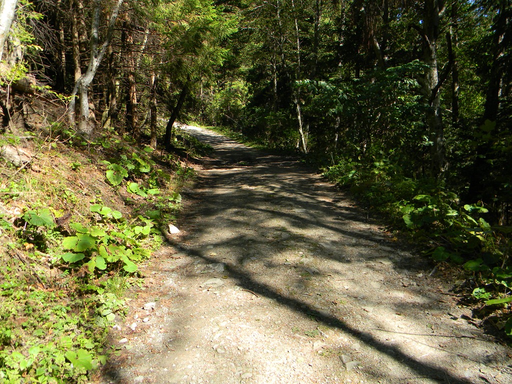 [DSCN67543.jpg]