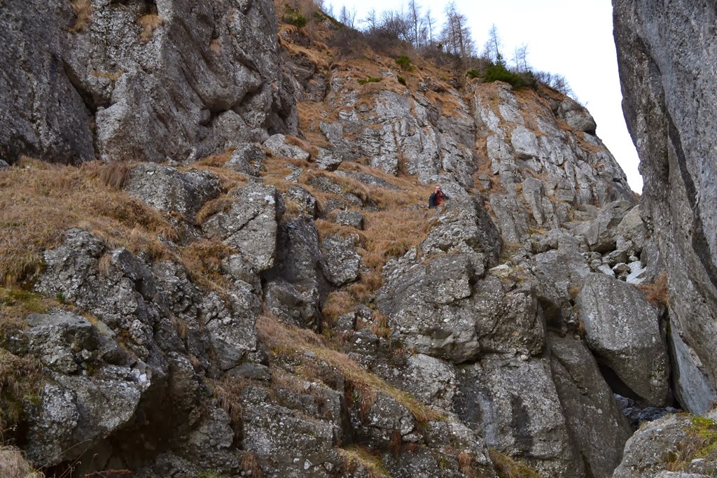 [DSC_02323.jpg]