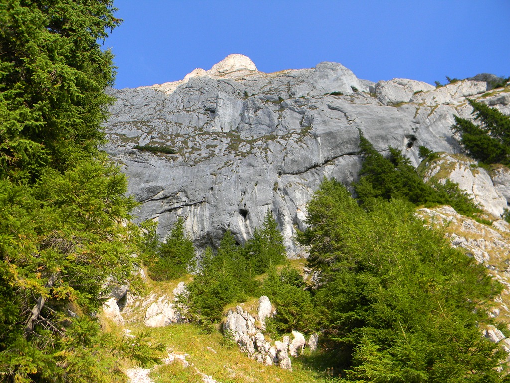 [DSCN21863.jpg]