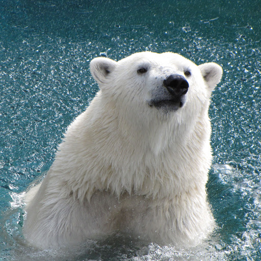 Hd-160900-ascw160900