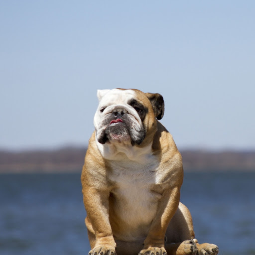 Hd-174824-ascw174824