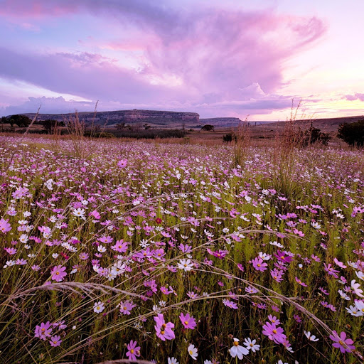 Hd-151168-ascw151168