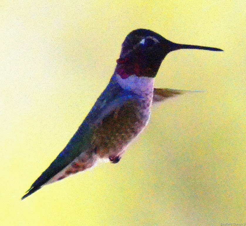 [DSC_0049%255B4%255D.jpg]