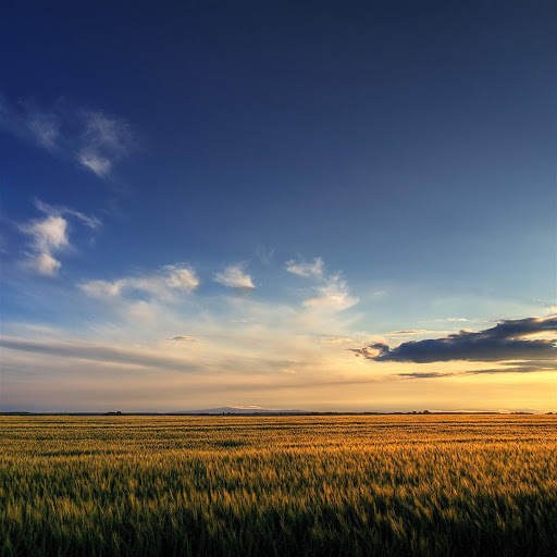 Hd-179394-ascw179394