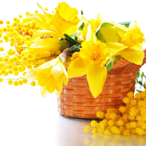 Hd-143665-ascw143665