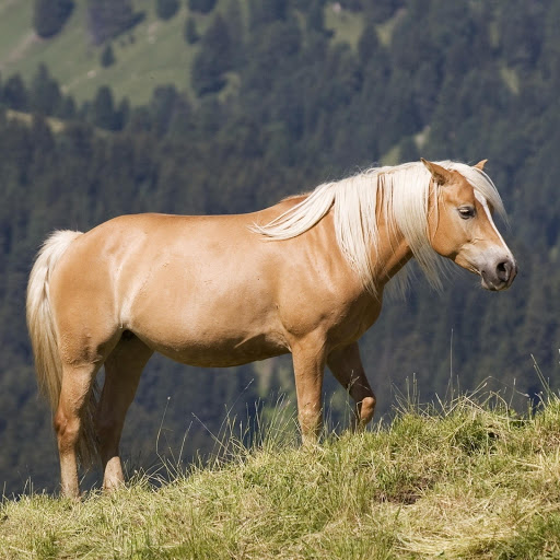 Hd-179071-ascw179071