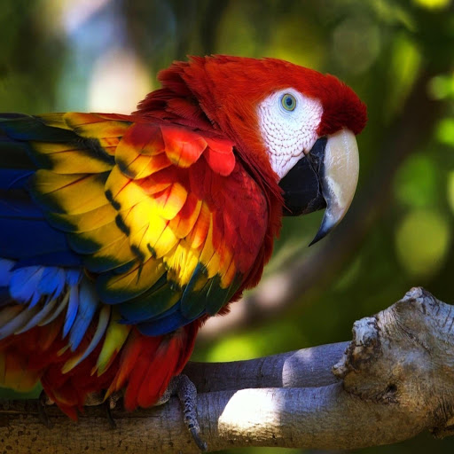 Hd-169710-ascw169710