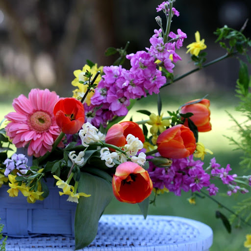 Hd-177981-ascw177981