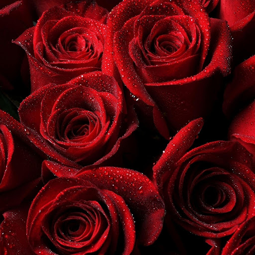 Hd-177234-ascw177234