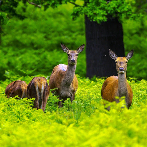 Hd-147103-ascw147103