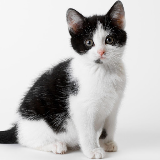 Hd-177857-ascw177857