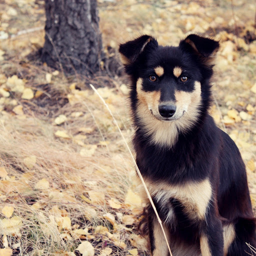 Hd-145052-ascw145052