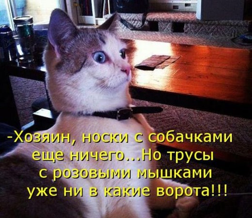 [c3c01ee69168c020365b51b36b4_prev%255B3%255D.jpg]