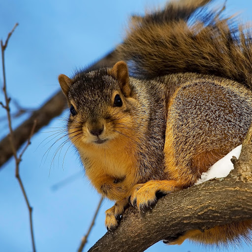 Hd-181842-ascw181842