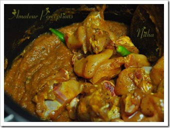 Kerala Chicken Curry 10