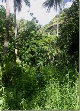 fatuhiva2IMG_9995 fatuhiva2IMG_9995
