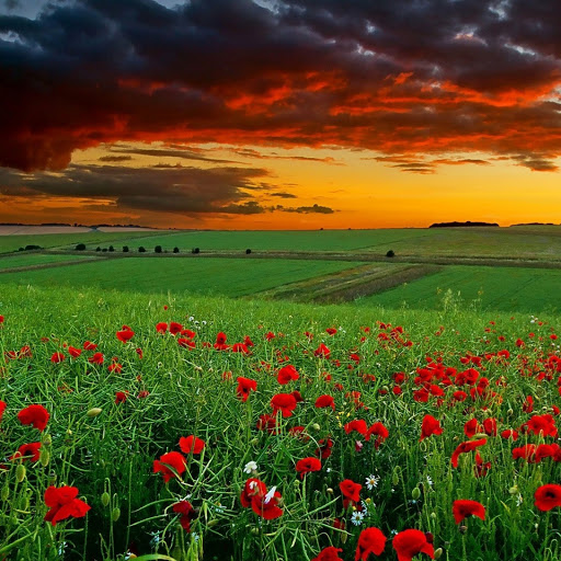 Hd-143684-ascw143684