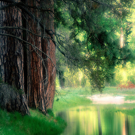 Hd-136313-ascw136313