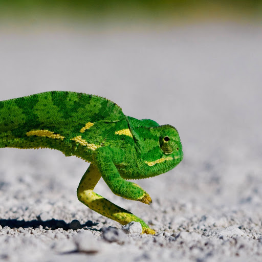 Hd-182058-ascw182058