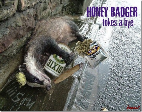 Honey Badger6