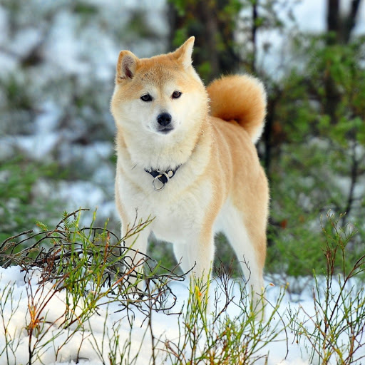 Hd-173754-ascw173754