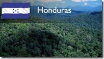 imagenesifotos%252520%252520independencia%252520de%252520honduras%252520%25252811%252529_thumb