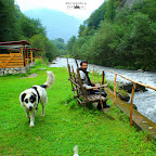 IMG_6685%252520kopya.jpg