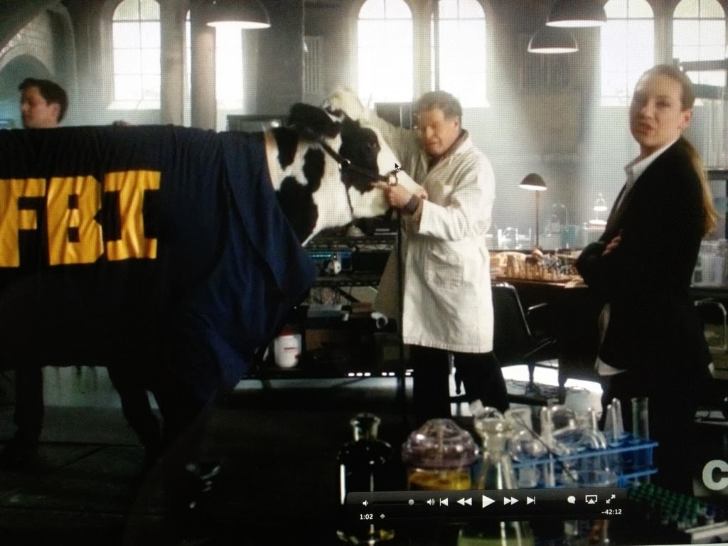 El Rostro de Muerte: Serie del Día: Fringe, Cuarta Temporada El Rostro de Muerte: Serie del Día: Fringe, Cuarta Temporada