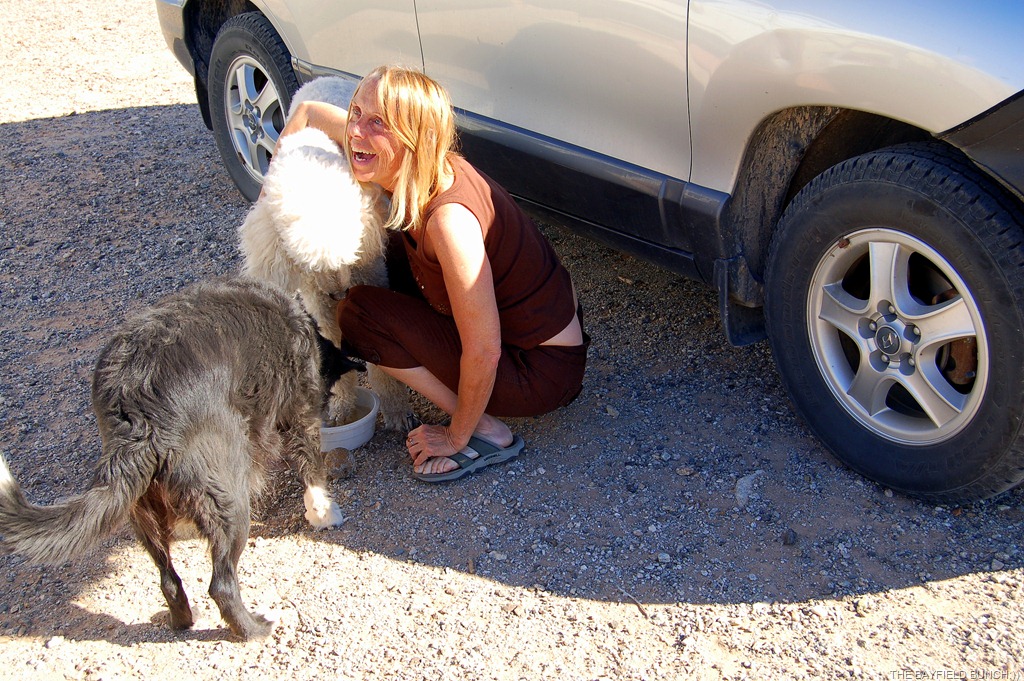 [DSC_0009%255B3%255D.jpg]