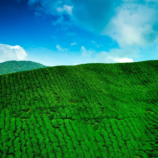 Hd-174296-ascw174296