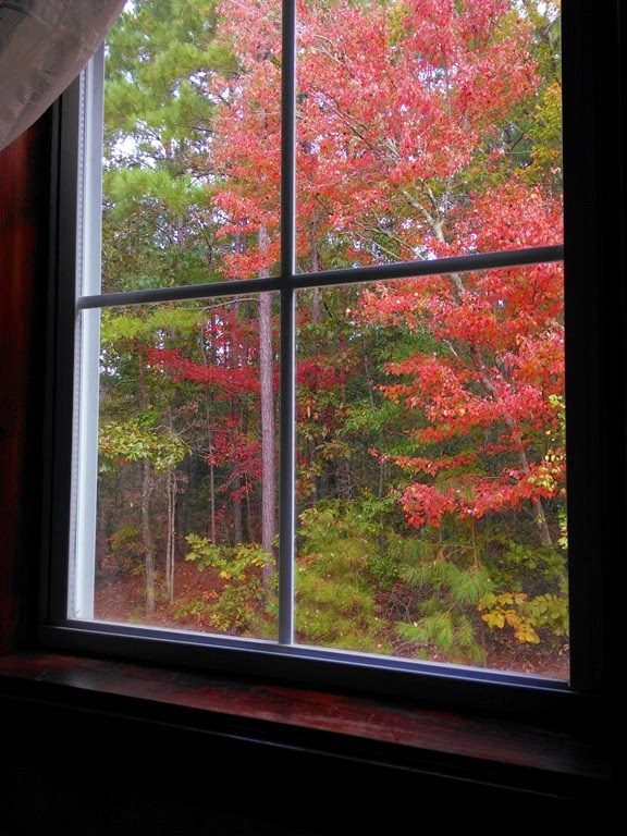 [fall-window22.jpg]
